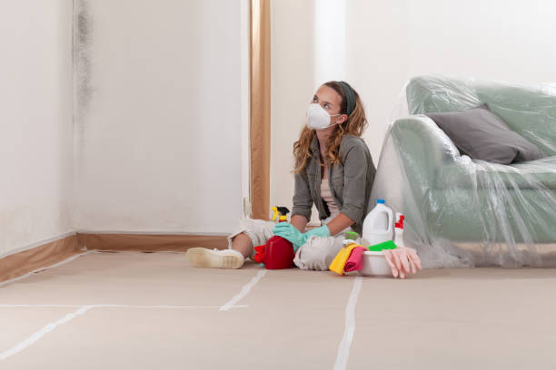 Reliable Black Mold Remediation contractor in Henderson, TX by Car Mold Remediation